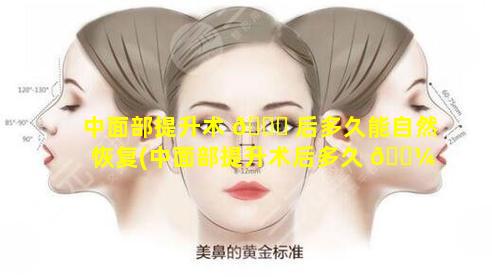 中面部提升术 🐅 后多久能自然恢复(中面部提升术后多久 🌼 能自然恢复正常)